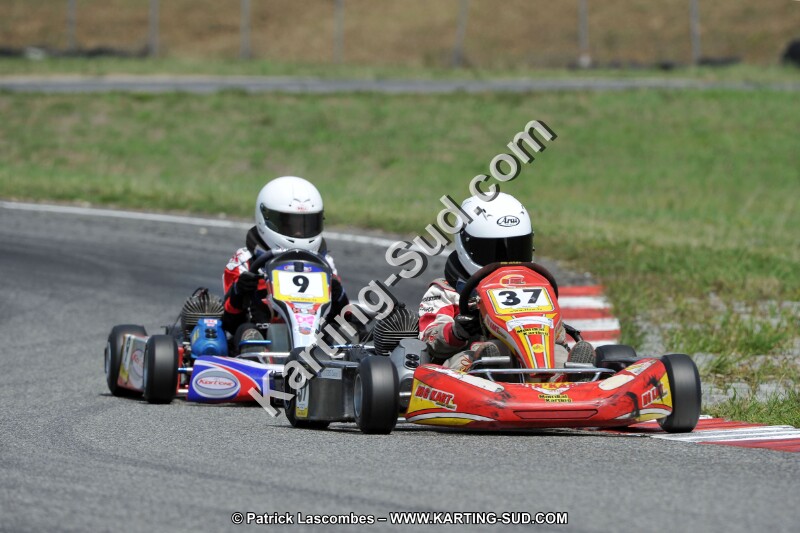 DSC_ (432).jpg